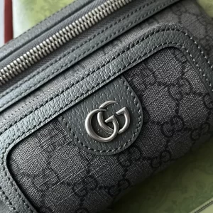 Gucci Ophidia Belt Bag