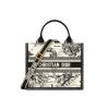 Small Dior Book Tote Latte Multicolor Dior Zodiac Embroidery and Black Calfskin