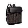 Goyard Alpin MM Backpack - GYB215