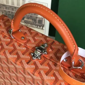 Goyard Grand Hôtel Trunk Bag - GYB272